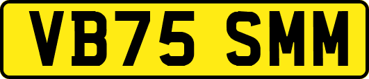 VB75SMM