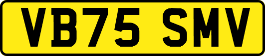 VB75SMV