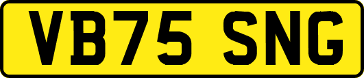 VB75SNG