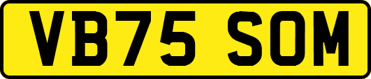 VB75SOM