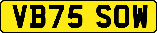 VB75SOW