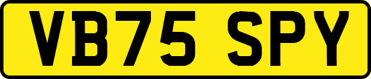 VB75SPY