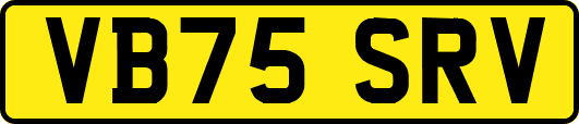 VB75SRV