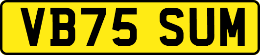 VB75SUM