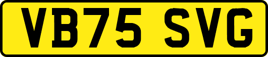VB75SVG