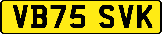 VB75SVK