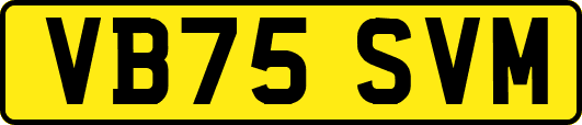 VB75SVM