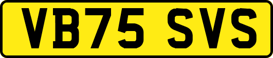 VB75SVS