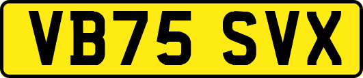 VB75SVX