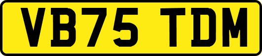 VB75TDM