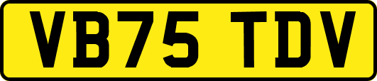 VB75TDV