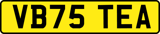 VB75TEA
