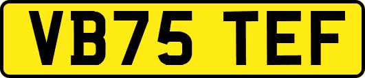 VB75TEF