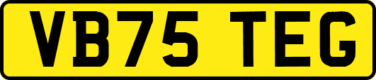 VB75TEG