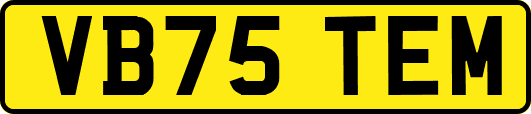 VB75TEM