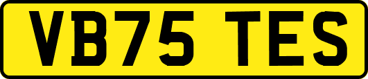 VB75TES