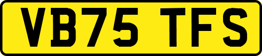 VB75TFS