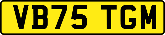 VB75TGM