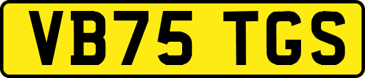 VB75TGS