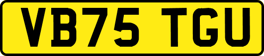 VB75TGU
