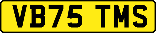 VB75TMS