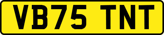 VB75TNT