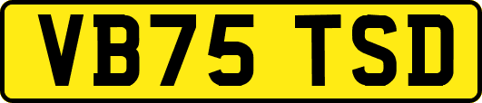 VB75TSD