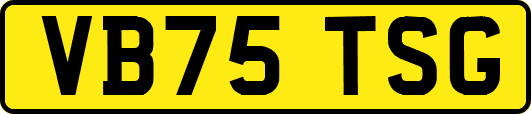 VB75TSG