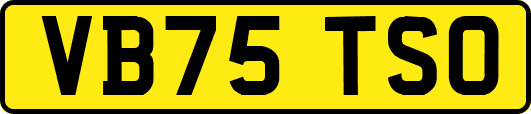 VB75TSO