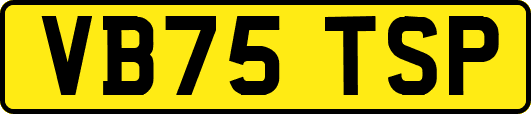 VB75TSP