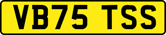 VB75TSS