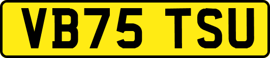 VB75TSU