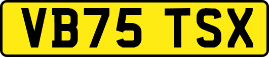 VB75TSX