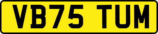VB75TUM