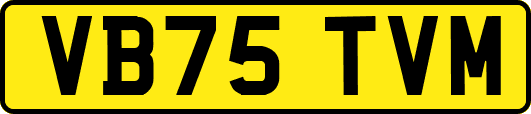 VB75TVM