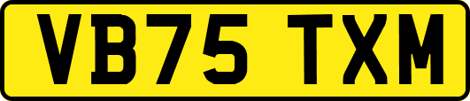VB75TXM