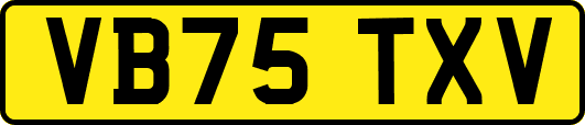 VB75TXV