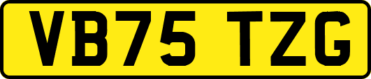 VB75TZG