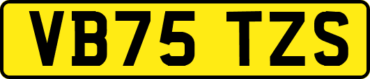 VB75TZS