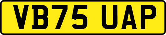 VB75UAP