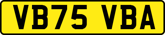 VB75VBA