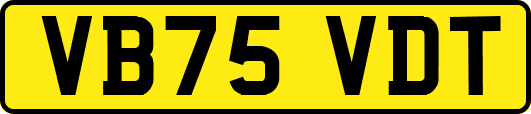 VB75VDT
