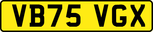 VB75VGX