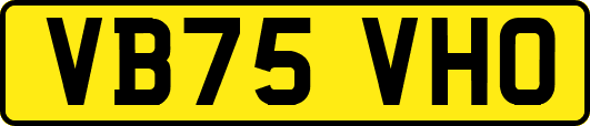 VB75VHO
