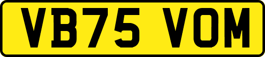 VB75VOM
