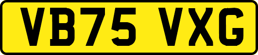 VB75VXG