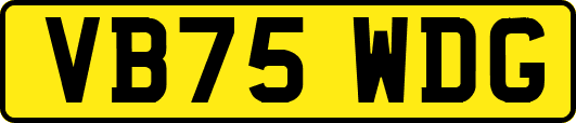 VB75WDG