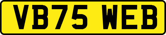 VB75WEB