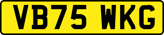 VB75WKG