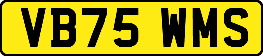 VB75WMS